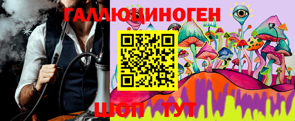 Стерлитамак  Псилоцибиновые грибы мухоморы  Вход с VPN 